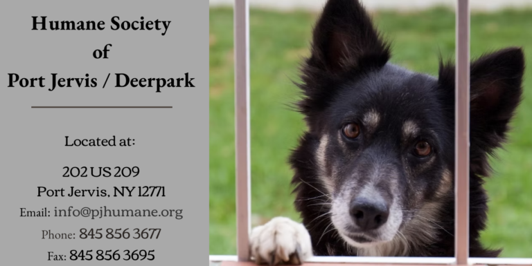 Port Jervis Humane society