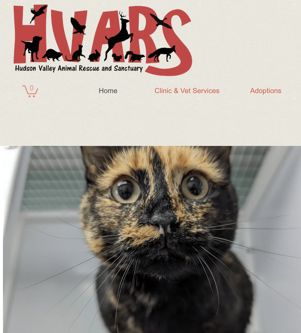 hudson valley animal rescue