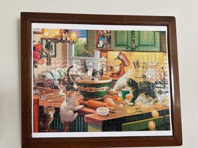 cat puzzles for cat lovers