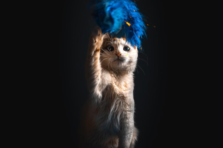 What does the Paw Syndicate play with?